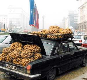 355601ae_potatoes.jpg